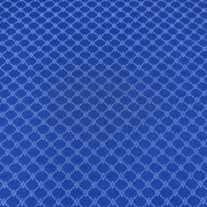 Isabel TR azul