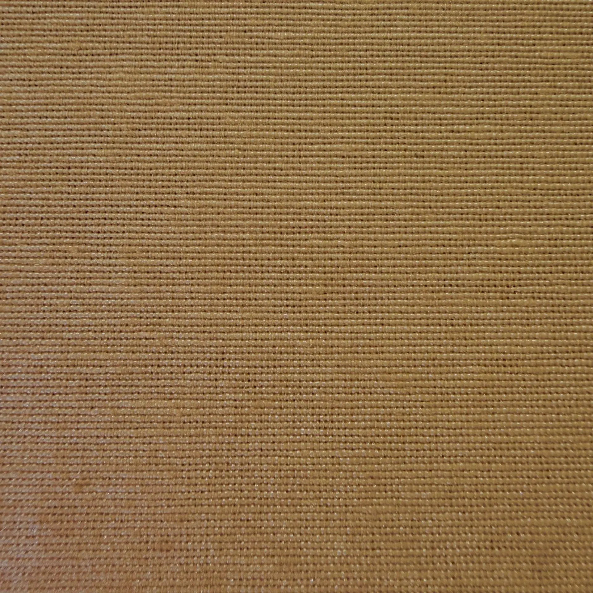 LONETA BEIGE - Imagen 2