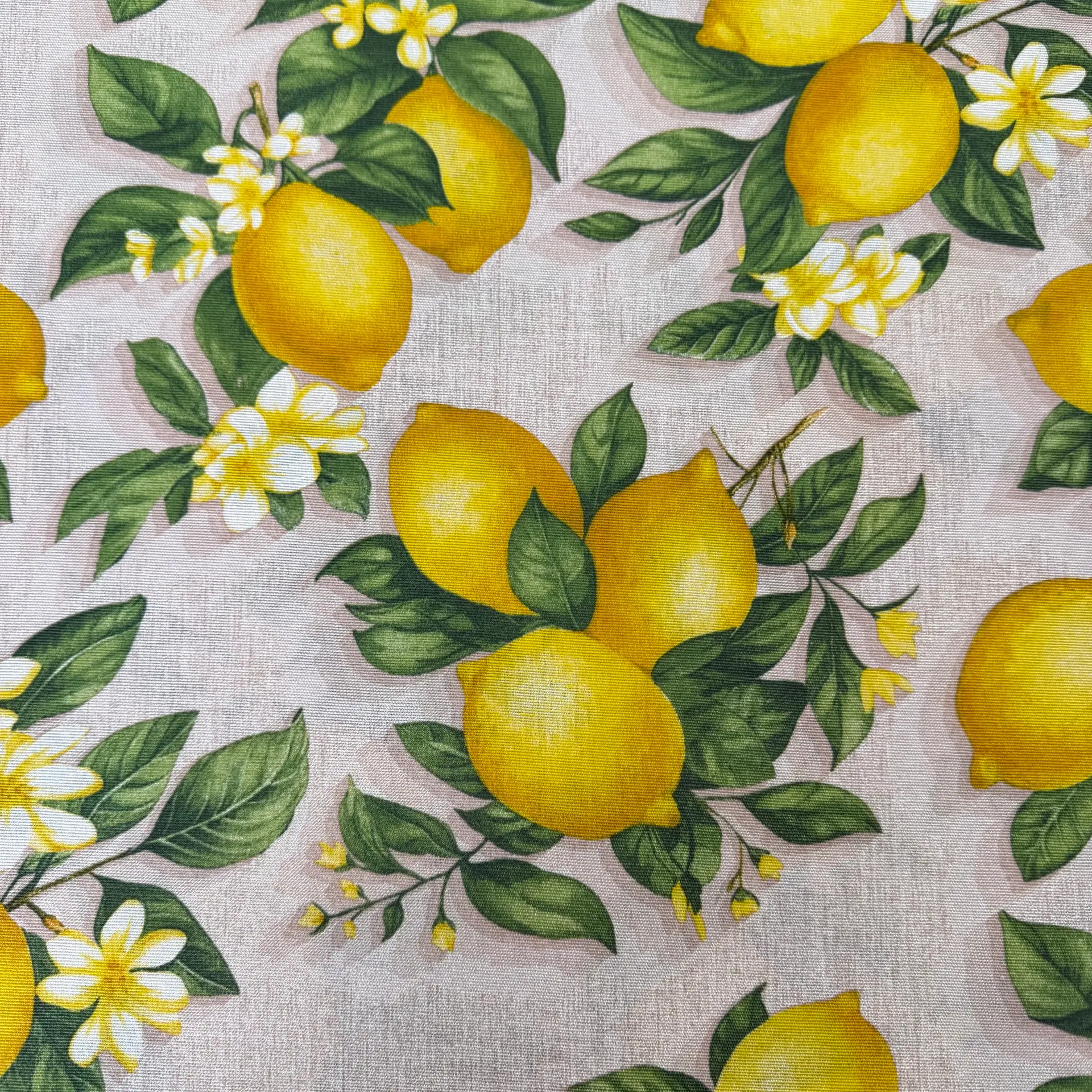 Loneta limones