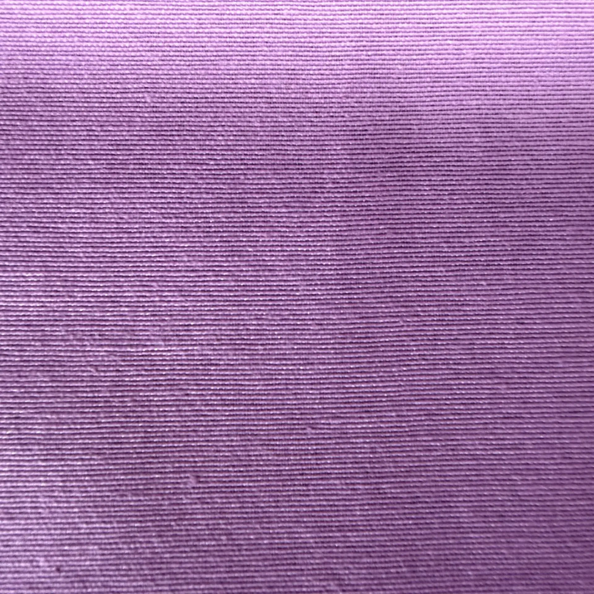 Loneta malva – imagen 3