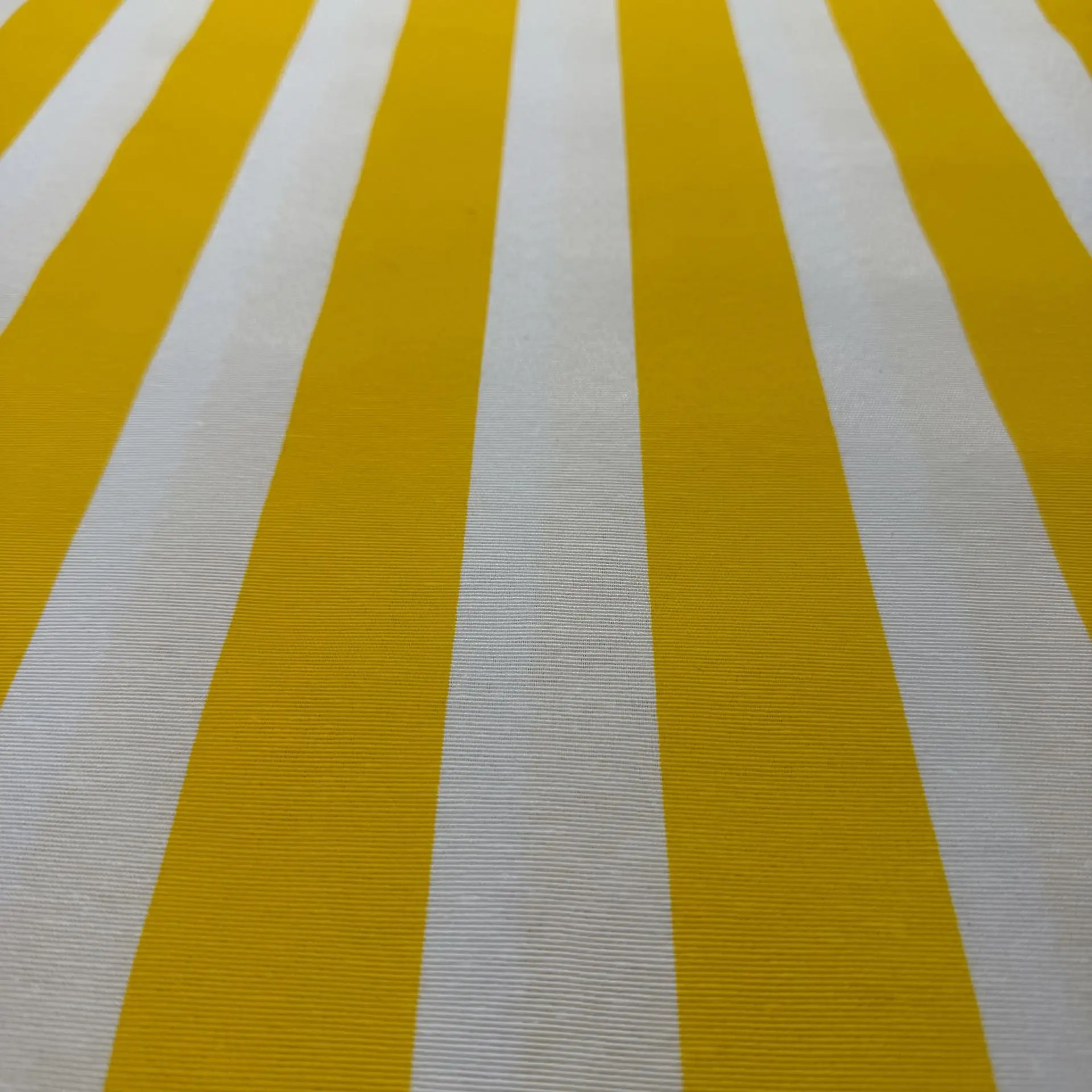 Loneta raya G amarillo – imagen 2