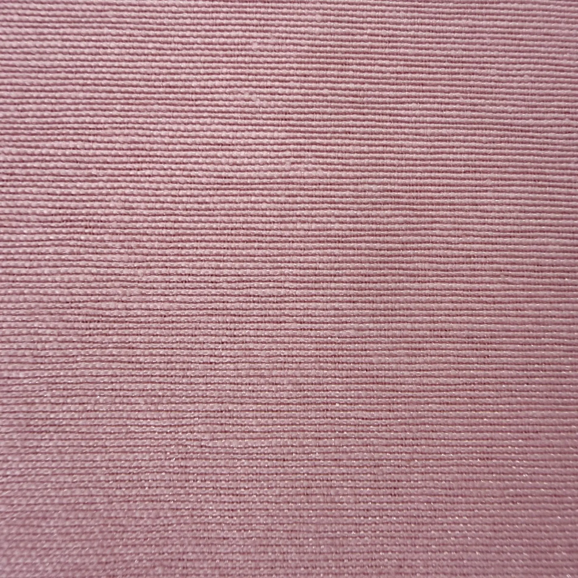 Loneta rosa nude – imagen 2
