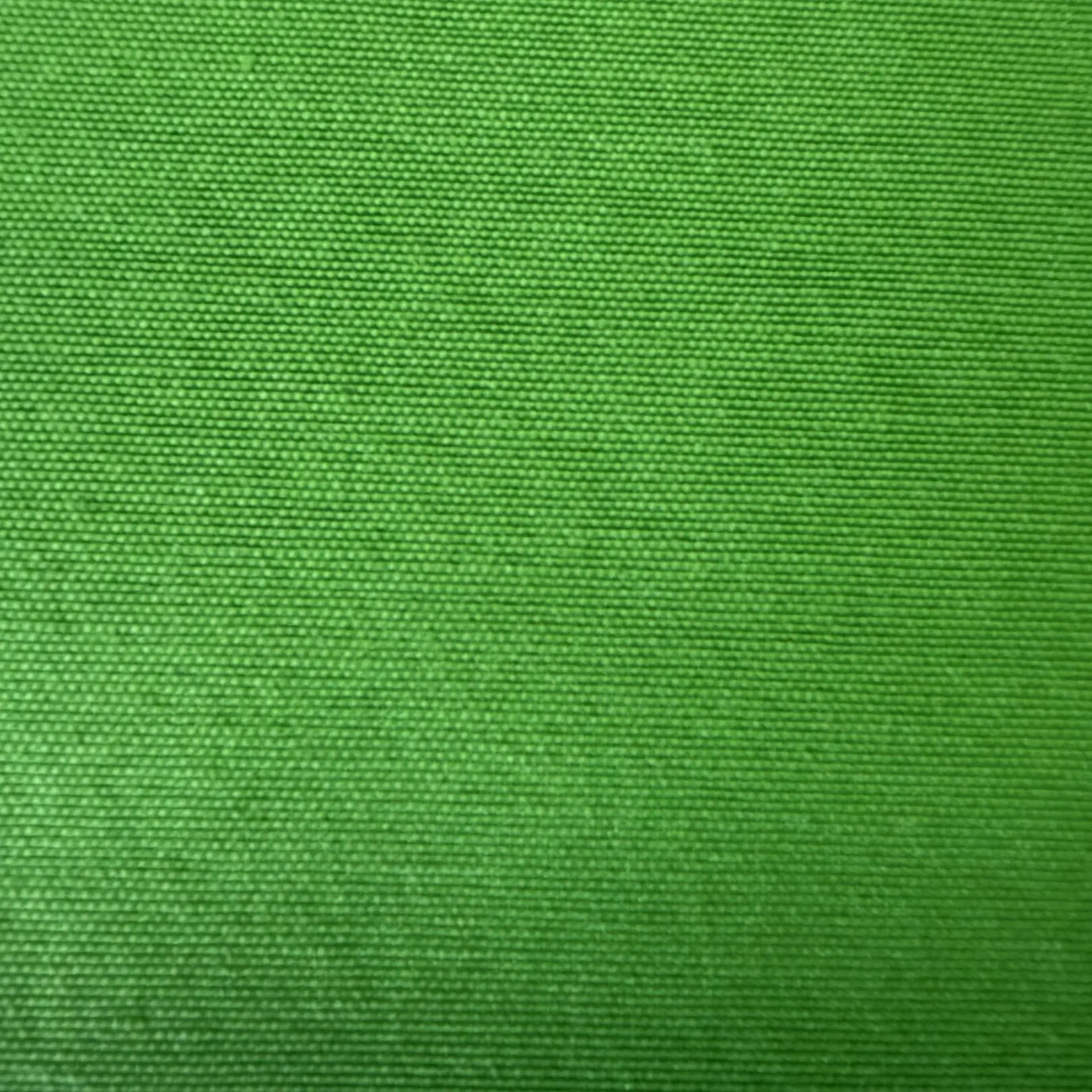 Loneta verde cesped – imagen 2