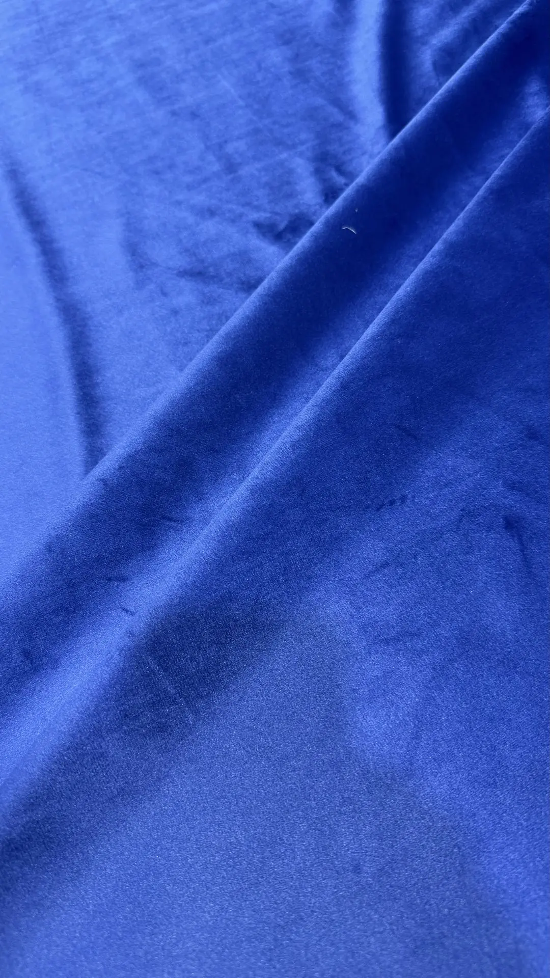 TERCIOPELO AZULÓN - Imagen 3