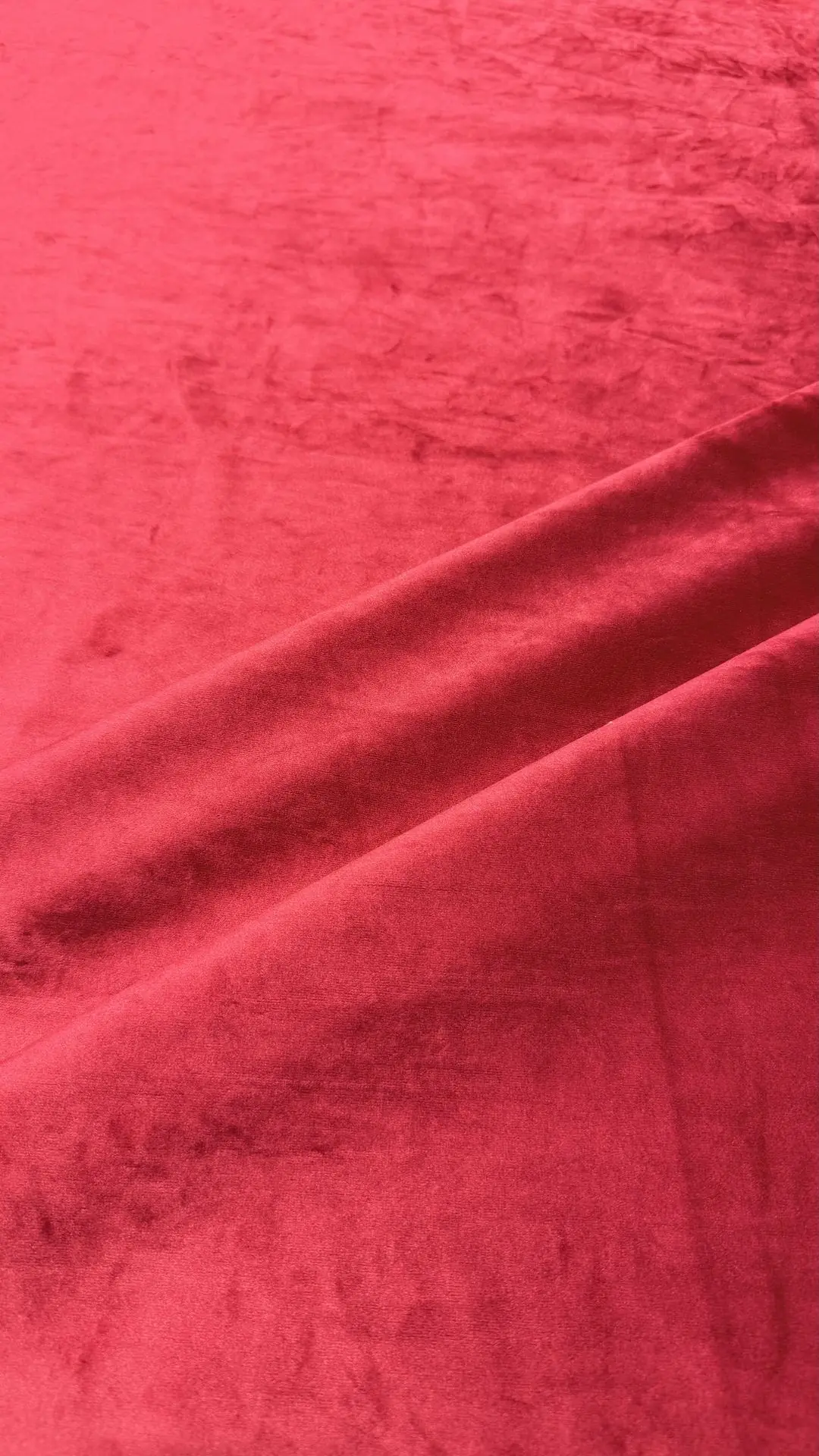 TERCIOPELO - Imagen 2